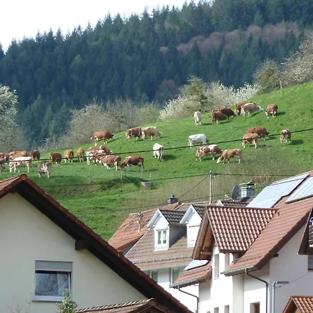 Am Wald Doerlinbach Parkplatz Ueberdachte Terasse Garten *
