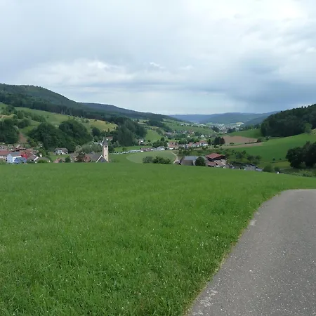 Am Wald Doerlinbach Parkplatz Ueberdachte Terasse Garten Schuttertal